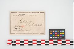 Etikett zu Bronzearmreif (NHMW-PRAE-025831)